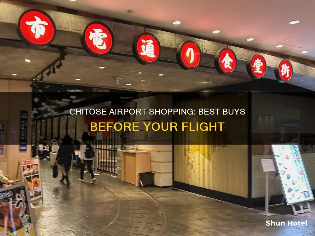 what to buy at chitose airport