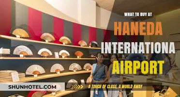 Top Haneda Airport Shopping Picks: Unique Souvenirs & Duty-Free Finds
