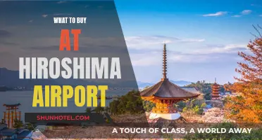 Hiroshima Airport Shopping: Best Buys Before Your Flight