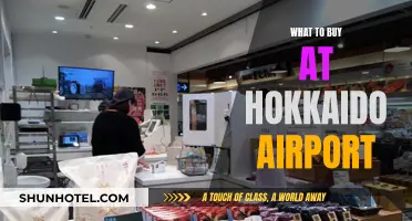 Hokkaido Airport Shopping: Best Buys Before Your Flight