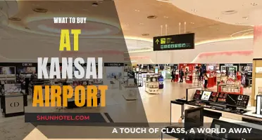 Kansai Airport Shopping: Best Buys Before Your Flight