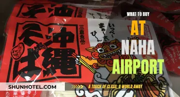 Naha Airport Shopping: Best Buys Before Your Flight
