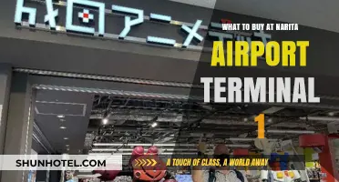 Essential Purchases at Narita Airport Terminal 1: A Traveler's Guide