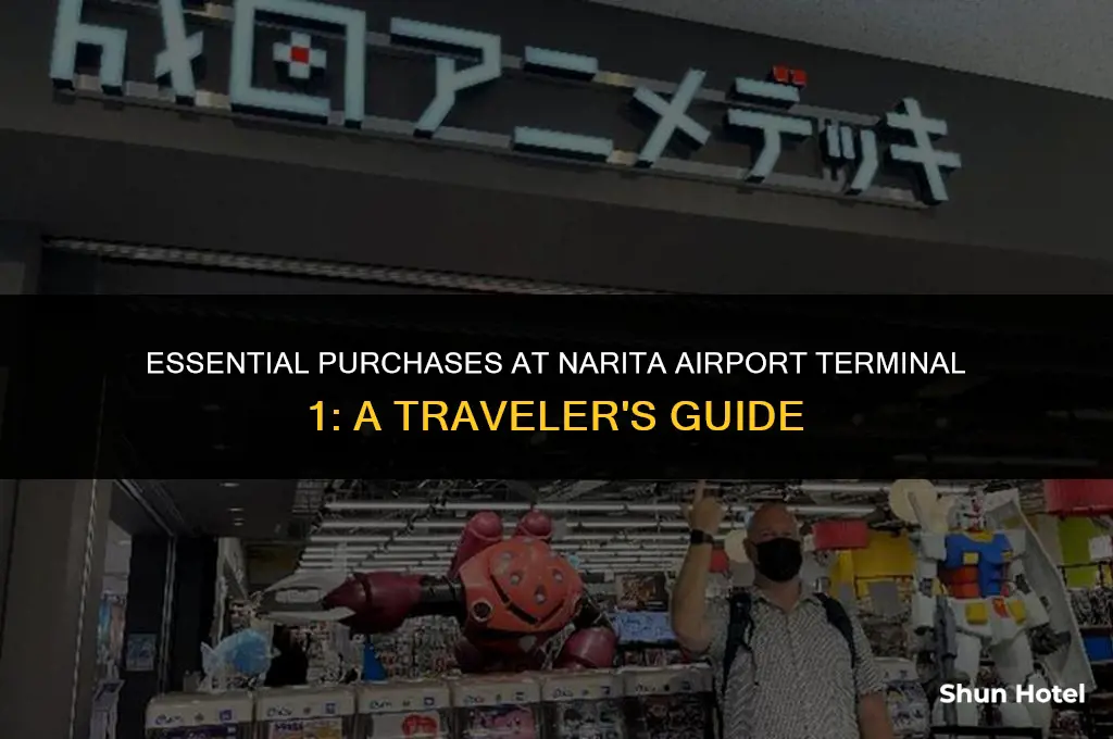 what to buy at narita airport terminal 1