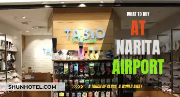 Narita Airport Shopping Guide: Best Buys Before Your Flight