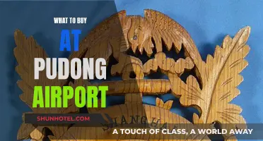 Shopper's Guide to Pudong Airport: What to Buy?