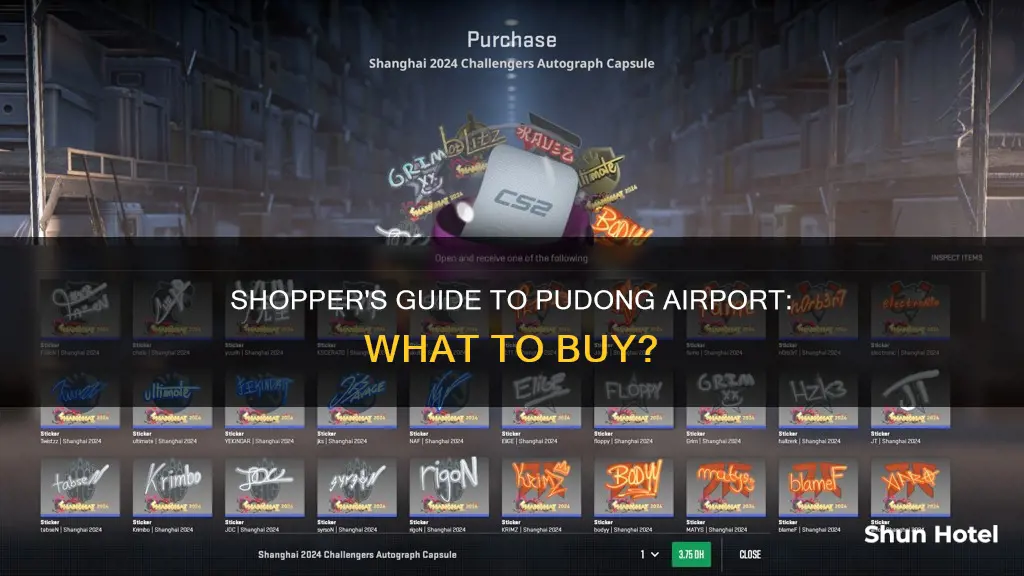 what to buy at pudong airport