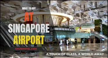 Singapore Airport Shopping: Best Buys Before Your Flight