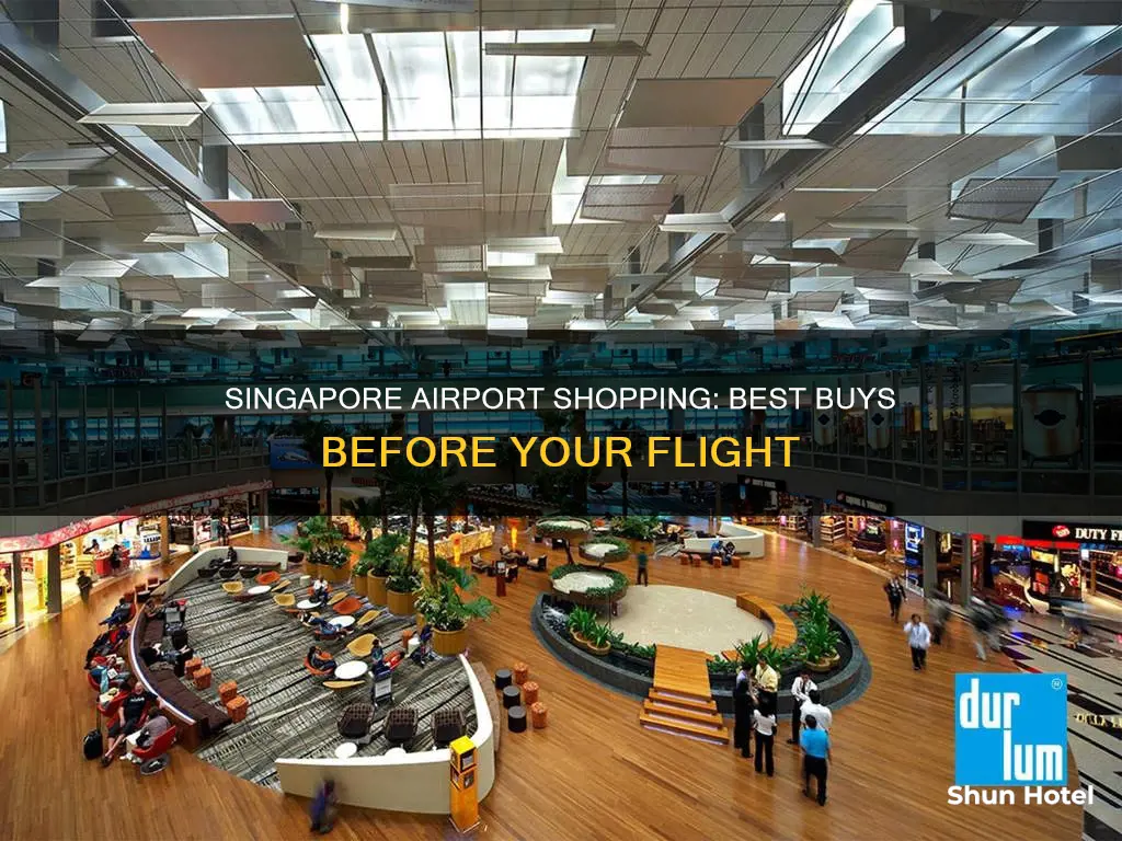 what to buy at singapore airport