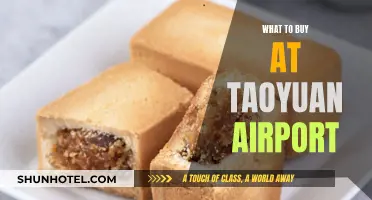 Taoyuan Airport Shopping: Best Buys Before Your Flight