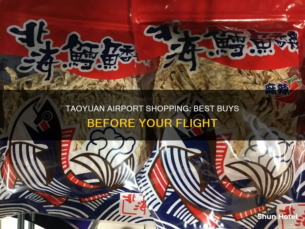 what to buy at taoyuan airport