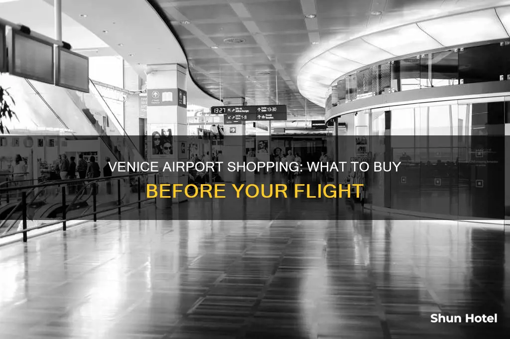 what to buy at venice airport