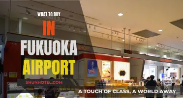 Fukuoka Airport Shopping: Best Buys Before Your Flight
