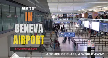 Geneva Airport Shopping: Best Buys Before Takeoff