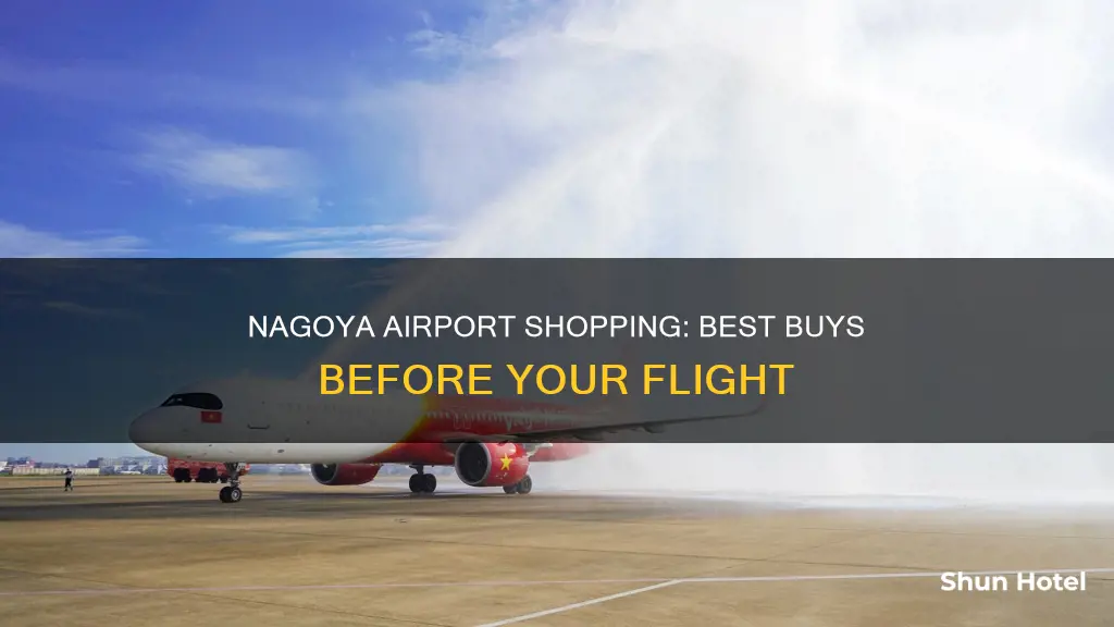 what to buy in nagoya airport