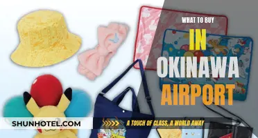 Okinawa Airport Shopping: Unique Gifts and Souvenirs to Buy