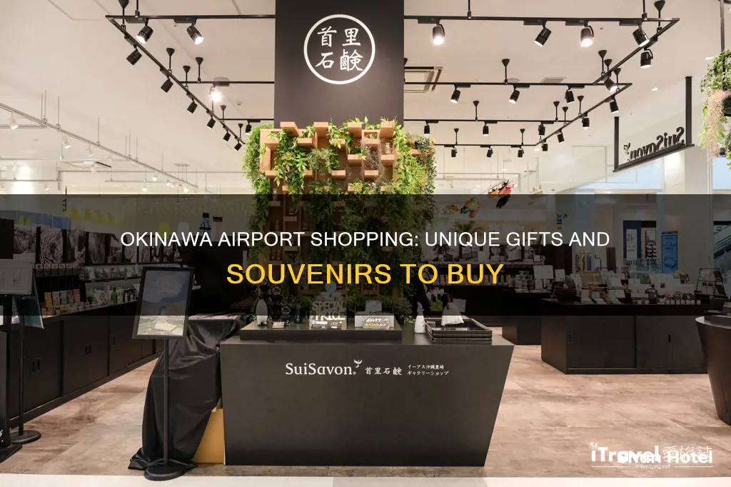 what to buy in okinawa airport