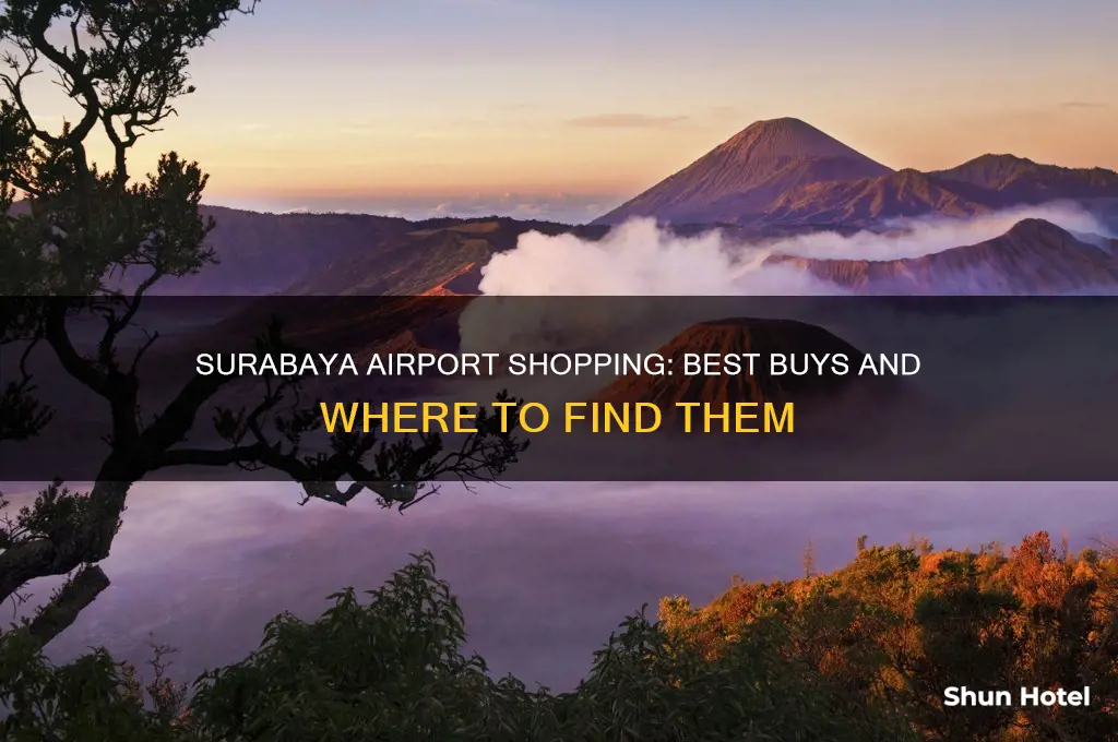 what to buy in surabaya airport