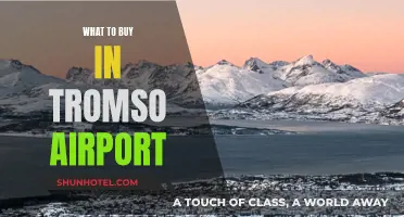 Shopping at Tromsø Airport: What to Buy?