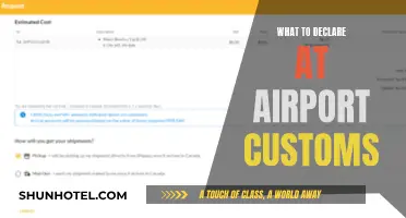 Customs Declarations: What to Declare When Traveling Internationally