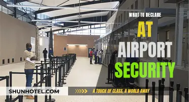 Airport Security: Declare to Get Through Faster