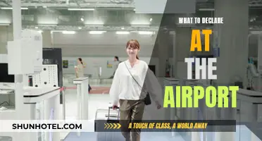 Smart Airport Packing: Declare to Fly Smoothly