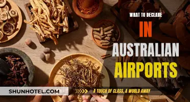 A Guide to Stress-Free Australian Airport Declarations