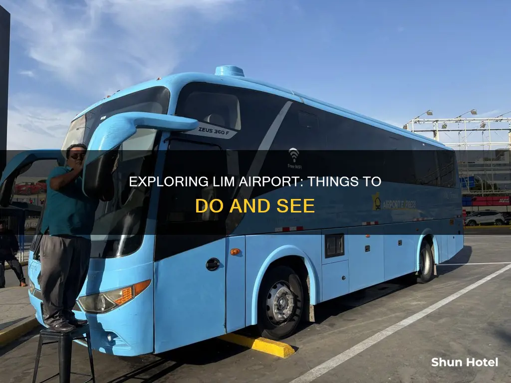 what to do a lim airport