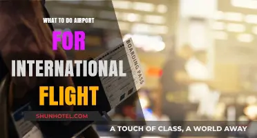 Essential Tips for Navigating Airports on International Flights