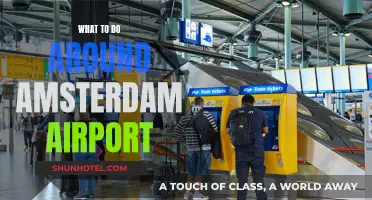 Exploring Amsterdam: Exciting Activities Near the Airport