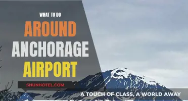 Exploring Anchorage: Airport Layover Activities and Adventures