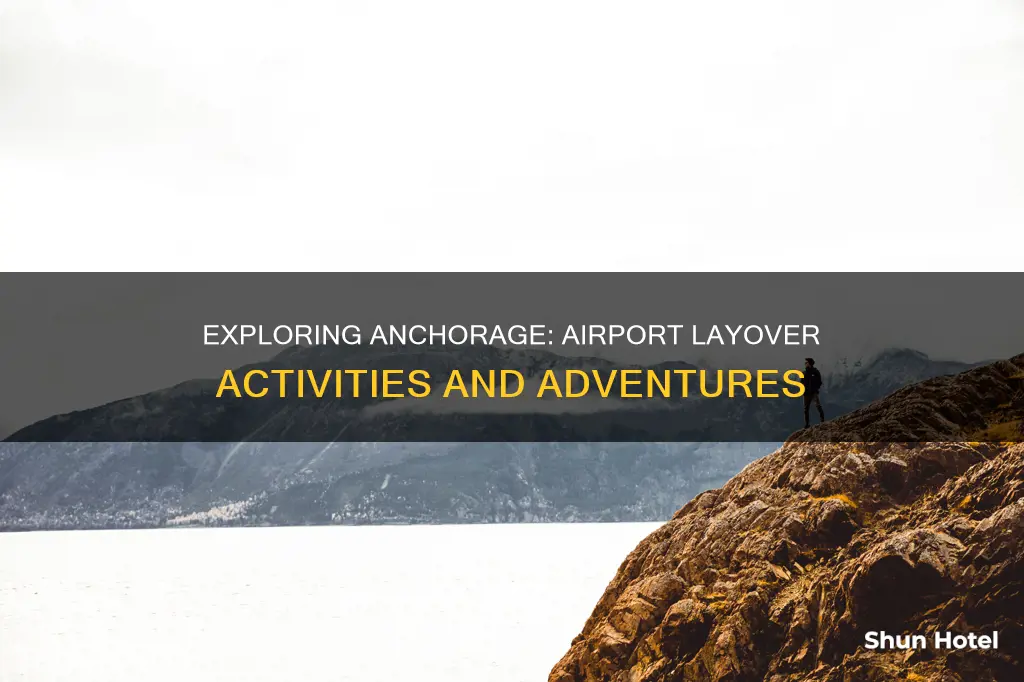 what to do around anchorage airport