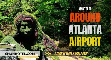 Exploring Atlanta: Exciting Activities Near the Airport