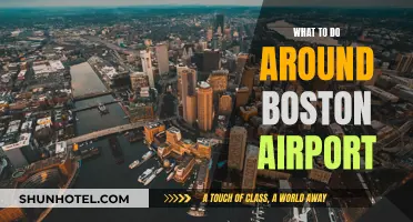 Exploring Boston: Exciting Activities Near Logan Airport