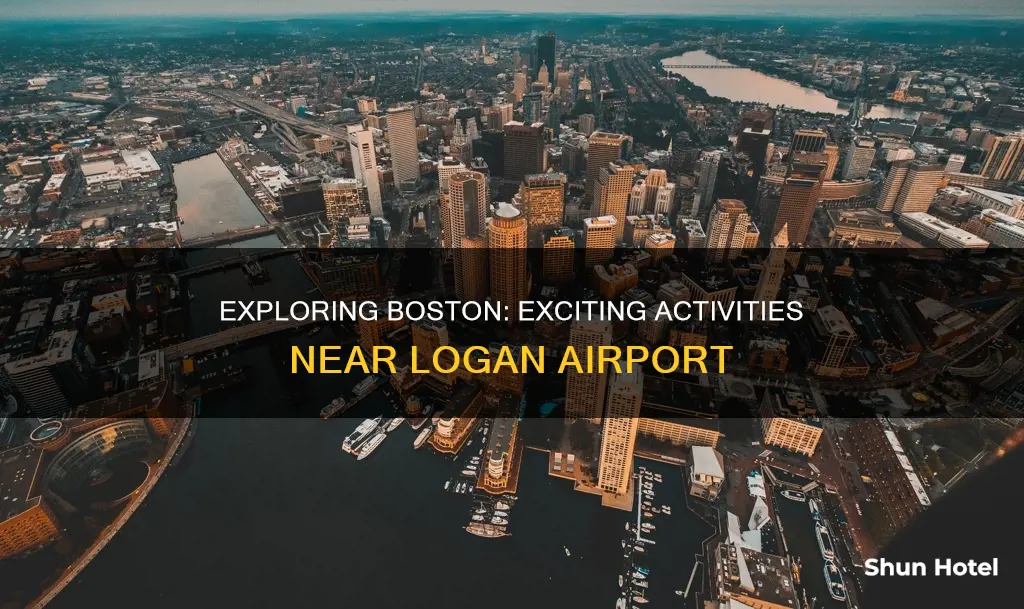 what to do around boston airport