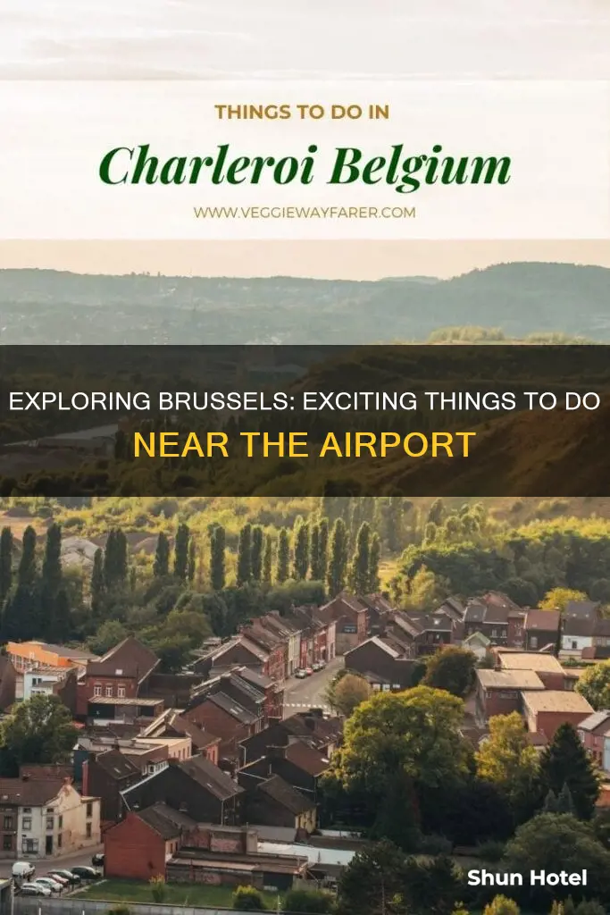 what to do around brussels airport