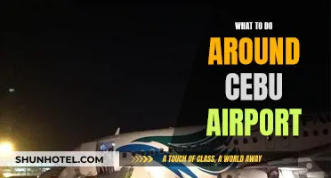 Exploring Cebu: Exciting Activities Near Mactan-Cebu International Airport