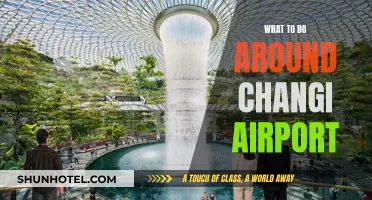 Exploring Changi Airport and its Surroundings