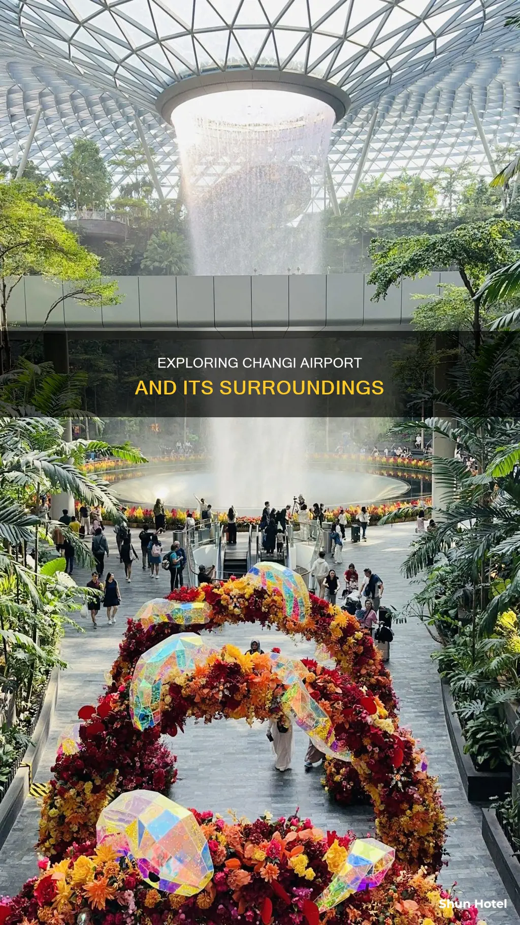 what to do around changi airport