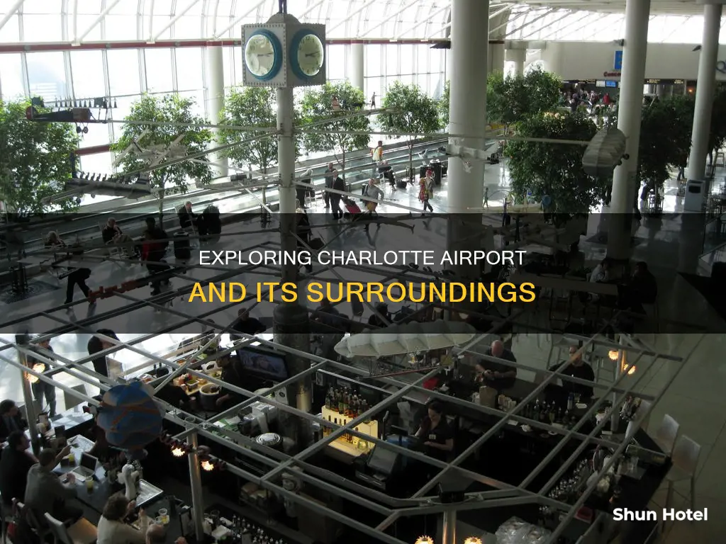 what to do around charlotte airport