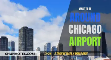 Exploring Chicago: Things to do Near O'Hare Airport