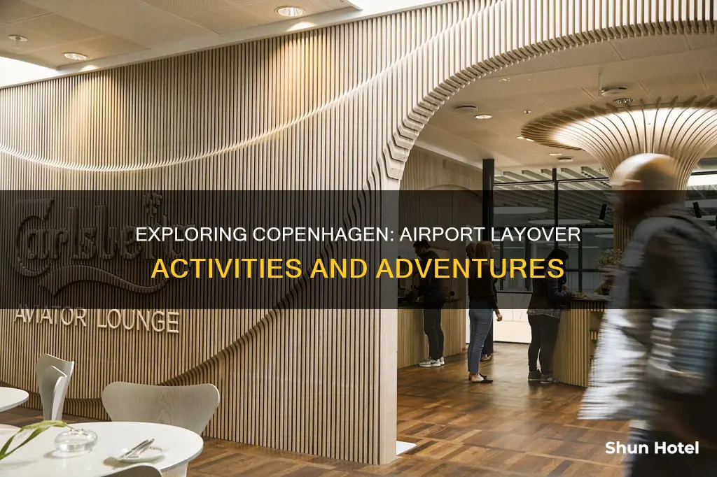 what to do around copenhagen airport