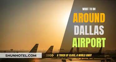 Exploring Dallas Airport and Beyond: Things to Do