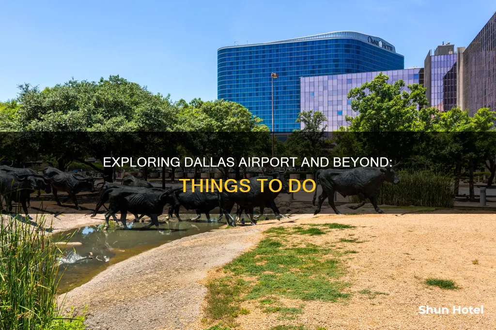 what to do around dallas airport