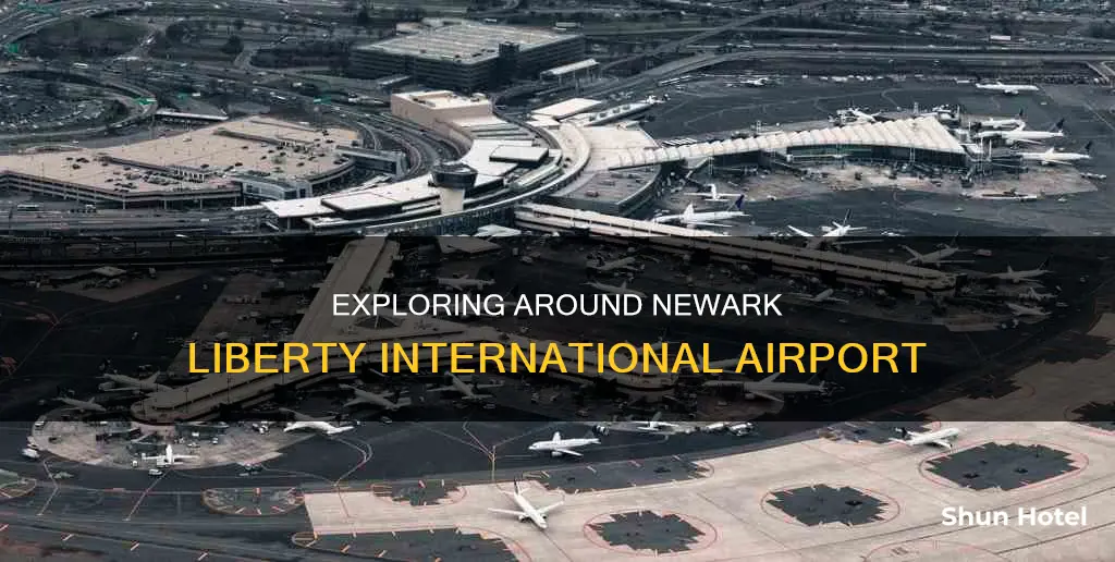 what to do around ewr airport