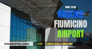 Exploring Fiumicino Airport and Its Surroundings