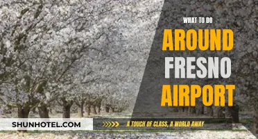 Exploring Fresno: Airport Layover Activities and Adventures