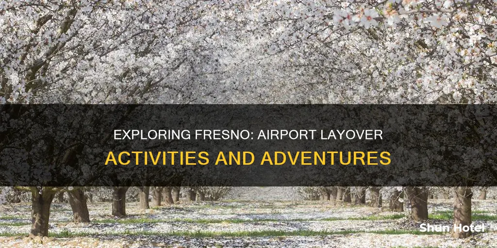 what to do around fresno airport