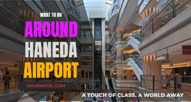 Exploring Haneda Airport and its Surroundings