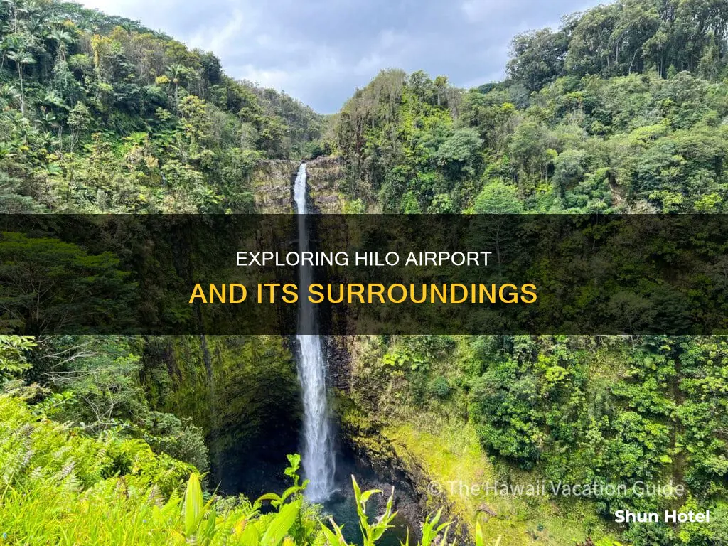 what to do around hilo airport